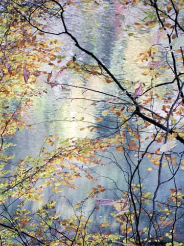 Ria Siegert Tanz der Farben Fotografie bei Stiftung Starke 2024