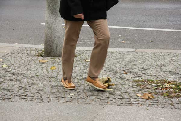 Fotodokumentation und Gespräch mit einem Suppenhuhn