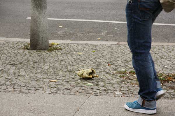 Fotodokumentation und Gespräch mit einem Suppenhuhn