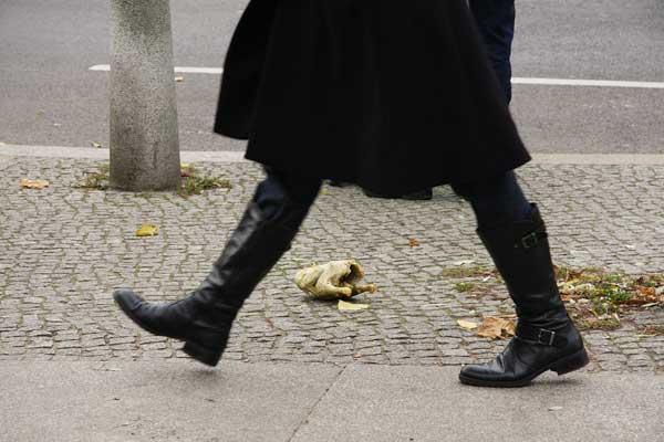 Fotodokumentation und Gespräch mit einem Suppenhuhn