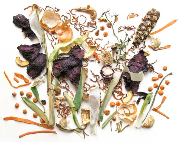 Stillleben aus Obst- und Gemüseschalen, Farbfotografie Ria Siegert