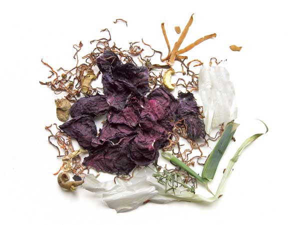 Stillleben aus Obst- und Gemüseschalen, Farbfotografie Ria Siegert