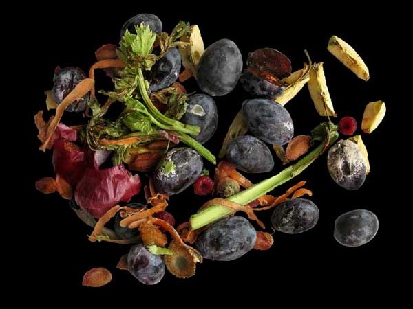 RHYPAROGRAPHIE 2,STILLLEBEN mit schwarzem Hintergrund und Gemüseschalen Ria Siegert,  Fotofineartdruck auf Alu-Dibond Aufl.10 + 2 / z.B. 50 x 70 cm