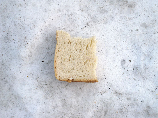 Einzelfund im Schnee, Farbfotografie Ria Siegert